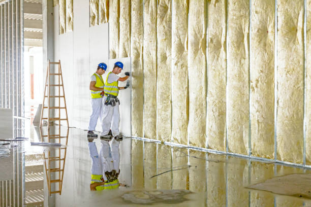 Best Residential Insulation in Arlington, TX